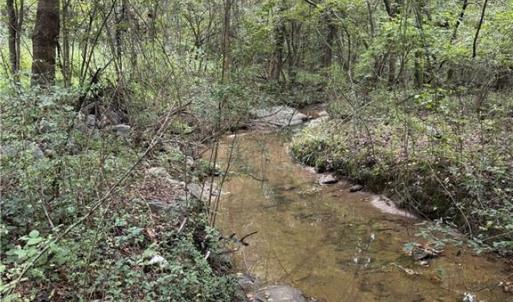 Photo #6 of Virginia Branch, Winston-Salem, NC 8.1 acres