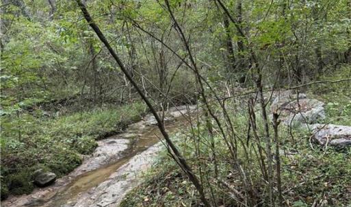 Photo #5 of Virginia Branch, Winston-Salem, NC 8.1 acres