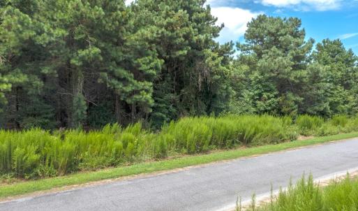 Photo #4 of 330 Country Estates Road, Columbia, NC 1.3 acres