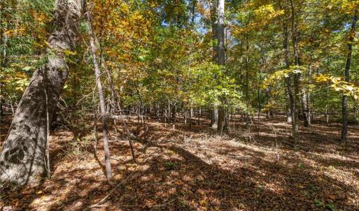 Photo #14 of 456 Starboard Reach, Lexington, NC 1.8 acres
