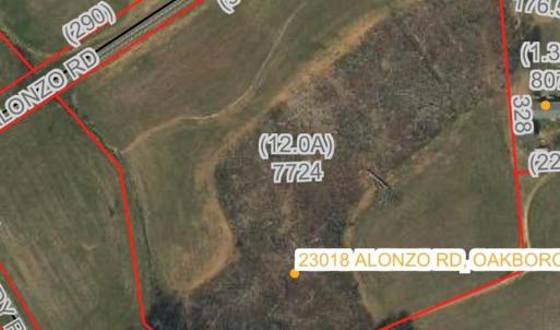 Photo #3 of Alonzo, Oakboro, NC 3.0 acres