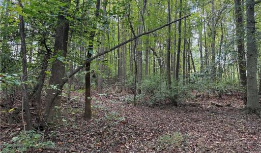 Photo #10 of Zeb Ferguson, Siler City, NC 30.7 acres