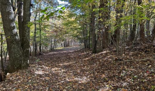 Photo #3 of Buffalo, Sandy Ridge, NC 29.4 acres