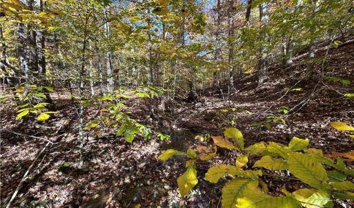 Photo #9 of Buffalo, Sandy Ridge, NC 29.4 acres