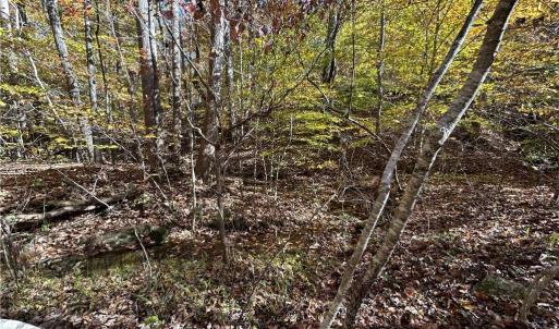 Photo #10 of Buffalo, Sandy Ridge, NC 29.4 acres