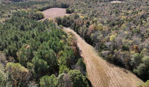 Access and field, facing south