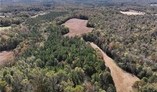 Access easement and field facing south