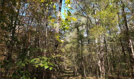 Path along east west boundary toward river