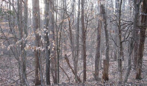 Photo #2 of 2973 Creek Point, Graham, NC 2.2 acres