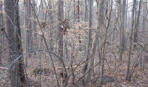 Photo #4 of 2973 Creek Point, Graham, NC 2.2 acres