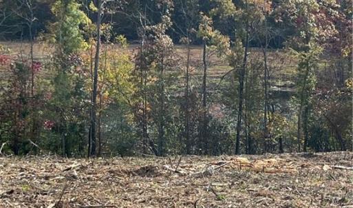 Photo #2 of 325 Elderberry, Lexington, NC 10.5 acres