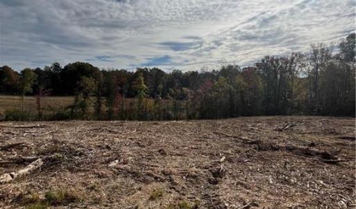 Photo #3 of 325 Elderberry, Lexington, NC 10.5 acres