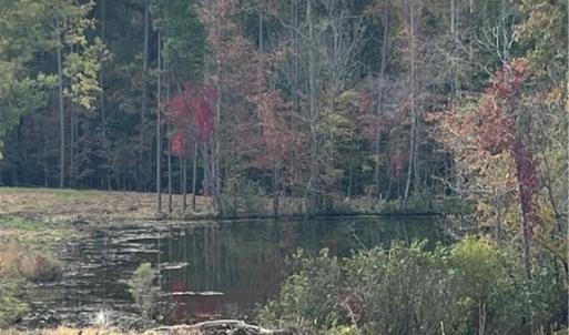 Photo #4 of 325 Elderberry, Lexington, NC 10.5 acres