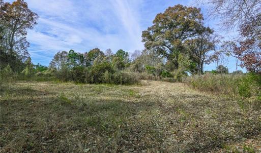 Photo #6 of 898 Sandy Cross, Reidsville, NC 141.8 acres