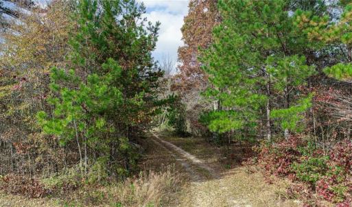 Photo #1 of 898 Sandy Cross, Reidsville, NC 141.8 acres