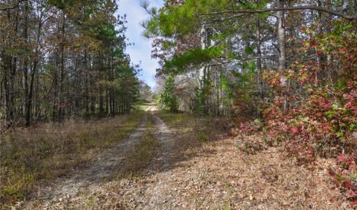 Photo #6 of 898 Sandy Cross, Reidsville, NC 141.8 acres