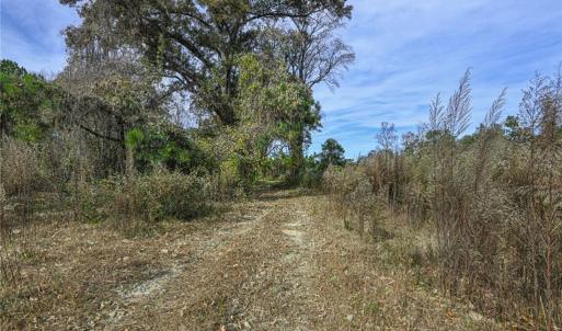 Photo #7 of 898 Sandy Cross, Reidsville, NC 141.8 acres