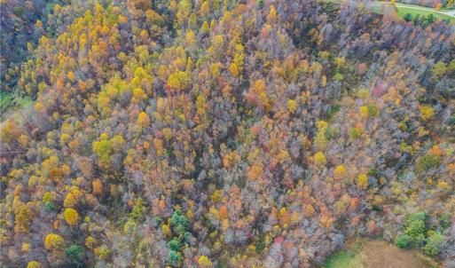 Photo #8 of TBD 4 Mayito, Mouth of Wilson, VA 10.3 acres