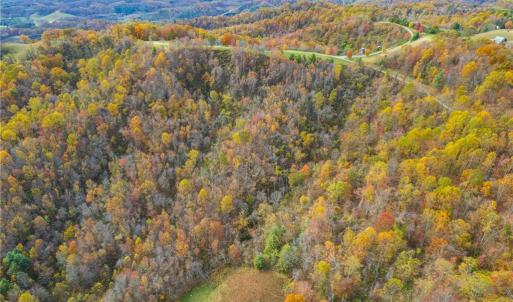 Photo #6 of TBD 3 Mayito, Mouth of Wilson, VA 7.7 acres