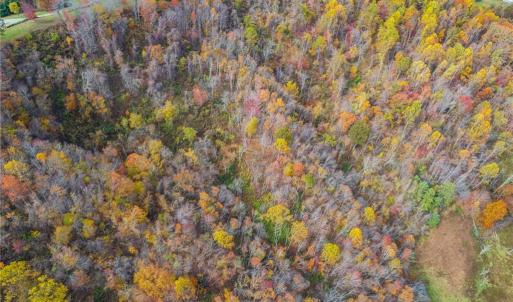 Photo #5 of TBD 3 Mayito, Mouth of Wilson, VA 7.7 acres