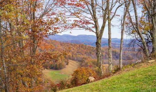 Photo #10 of TBD 3 Mayito, Mouth of Wilson, VA 7.7 acres