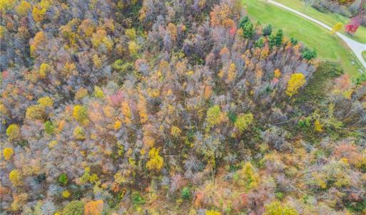 Photo #6 of TBD 2 Mayito, Mouth of Wilson, VA 8.1 acres