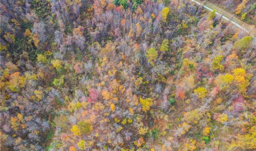 Photo #5 of TBD 2 Mayito, Mouth of Wilson, VA 8.1 acres