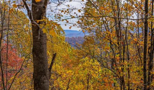 Photo #13 of TBD 1 Mayito, Mouth of Wilson, VA 6.8 acres
