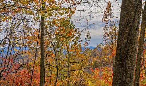 Photo #12 of TBD 1 Mayito, Mouth of Wilson, VA 6.8 acres