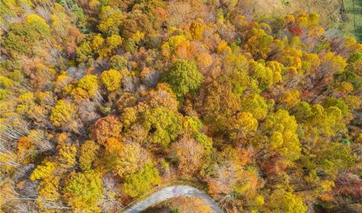 Photo #4 of TBD 1 Mayito, Mouth of Wilson, VA 6.8 acres