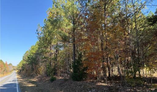 Photo #4 of US HIGHWAY 64, Trinity, NC 160.1 acres