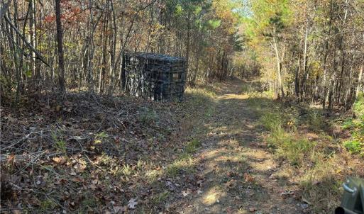 Photo #2 of Park Springs, Providence, NC 66.3 acres