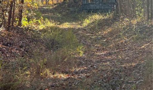 Photo #6 of Park Springs, Providence, NC 66.3 acres