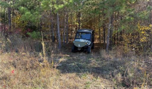 Photo #4 of Park Springs, Providence, NC 66.3 acres