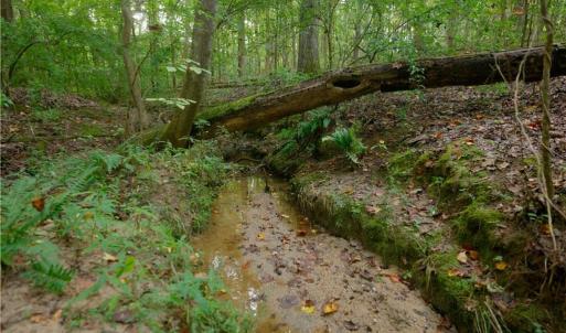 Photo #7 of 9651 Barnett, Concord, NC 6.9 acres