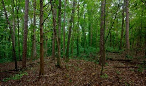 Photo #3 of 9651 Barnett, Concord, NC 6.9 acres