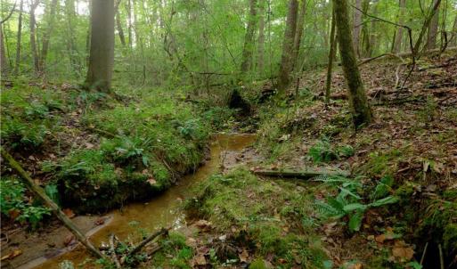 Photo #5 of 9651 Barnett, Concord, NC 6.9 acres