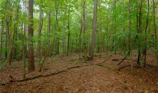 Photo #8 of 9651 Barnett, Concord, NC 6.9 acres
