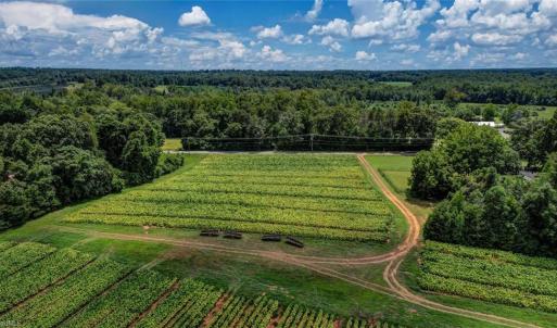 Photo #6 of NC Highway 150, Reidsville, NC 66.0 acres