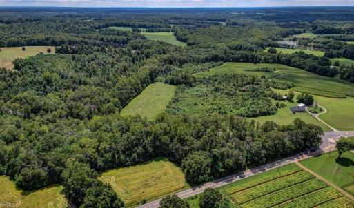 Photo #13 of NC Highway 150, Reidsville, NC 66.0 acres