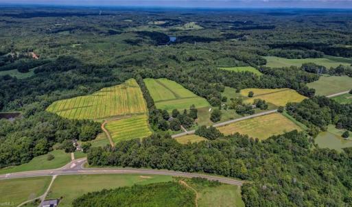 Photo #12 of NC Highway 150, Reidsville, NC 66.0 acres