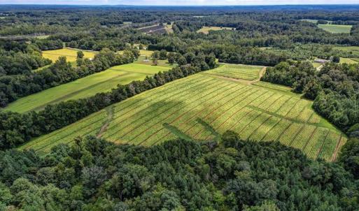 Photo #9 of NC Highway 150, Reidsville, NC 66.0 acres