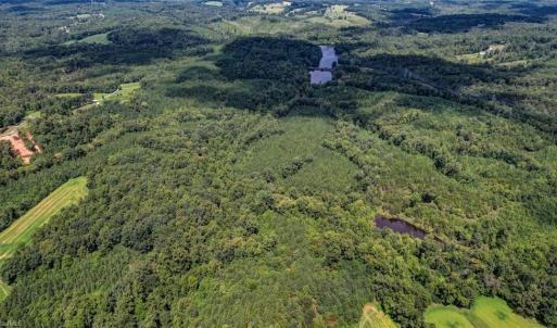 Photo #10 of NC Highway 150, Reidsville, NC 66.0 acres