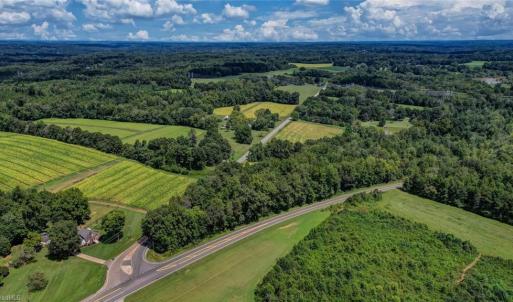Photo #14 of NC Highway 150, Reidsville, NC 66.0 acres