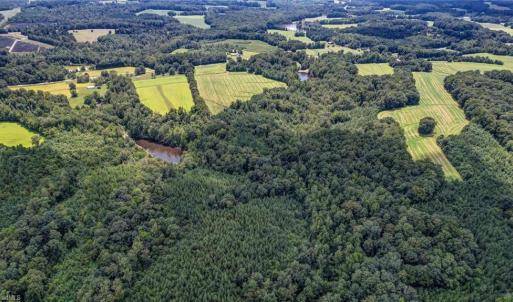 Photo #11 of NC Highway 150, Reidsville, NC 66.0 acres