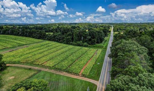 Photo #4 of NC Highway 150, Reidsville, NC 66.0 acres