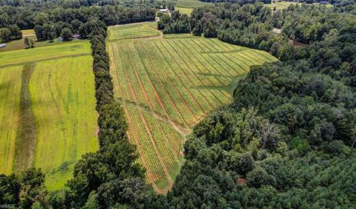 Photo #8 of NC Highway 150, Reidsville, NC 66.0 acres