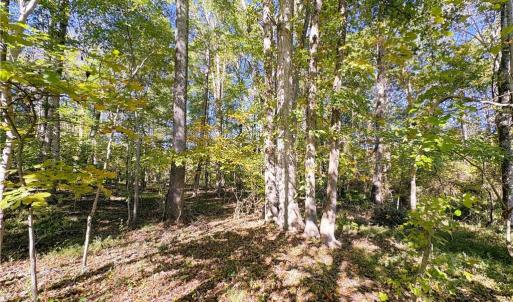 Photo #17 of 613 Barker, Reidsville, NC 10.3 acres