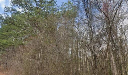 Photo #1 of Pine Tree, Salisbury, NC 1.9 acres