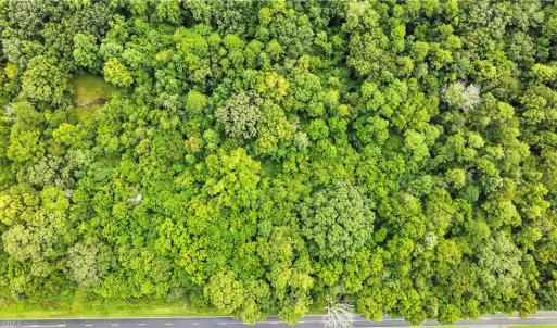 Photo #12 of 5424 Wild Turkey, Whitsett, NC 3.5 acres